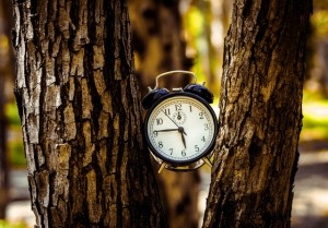 yaniv-knobel-2YWS62tLATA-unsplash